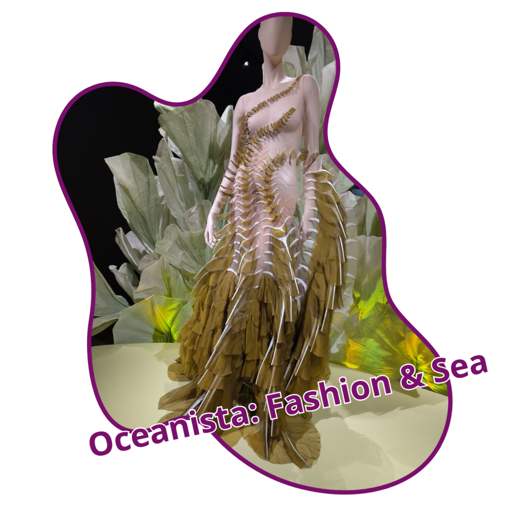 Oceanista: Fashion & Sea (picture of dress at museum)
