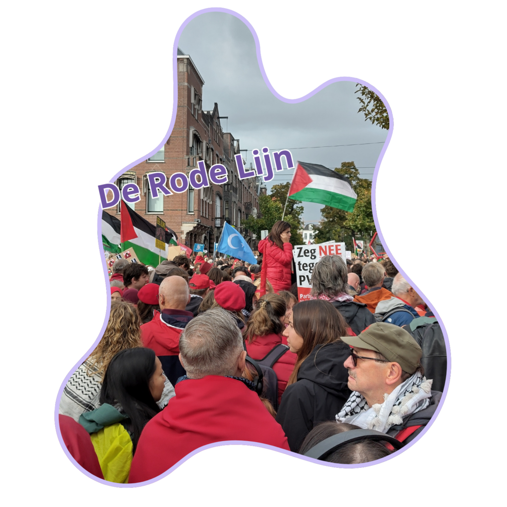 De Rode Lijn (picture of protesters with Palestinian flags)